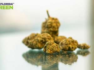 How Do Designers Get Ready for a Fashion Show?